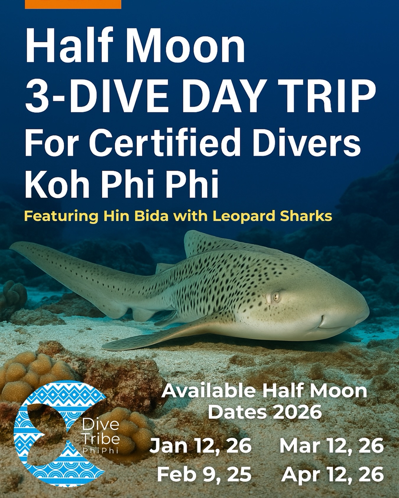 🌗 Half Moon 3-Dive Special Trip (High Season 2026)
Dive Koh Phi Phi’s iconic sites — including Hin Bida — on our limited-date special! 📅 Trip Dates (2026):
Jan 26
Feb 9, 25
Mar 12, 26
Apr 12, 26 ✅ 3 dives • Small groups • Full-day boat trip
📩 Spots are limited — book early! 🔗 Book here: https://divetribepp.com/product/half-moon-3-dive-trip-phi-phi/ #KohPhiPhi #PhiPhiDiving #ScubaDivingThailand #HinBida #AndamanSea #DiveTrip #DiveTribePhiPhi #HighSeason2026
